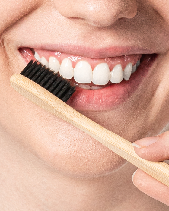 Bamboo Brush