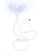 PAP+ LED Teeth Whitening Kit
